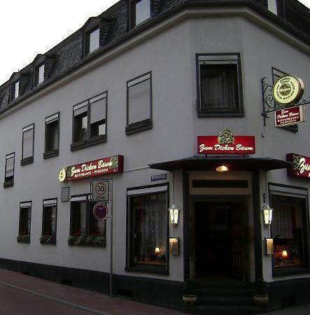 Hotel Zum Dicken Baum Mayen Buitenkant foto