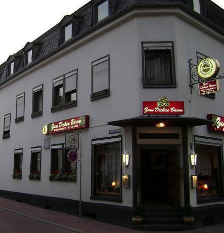 Hotel Zum Dicken Baum Mayen Buitenkant foto
